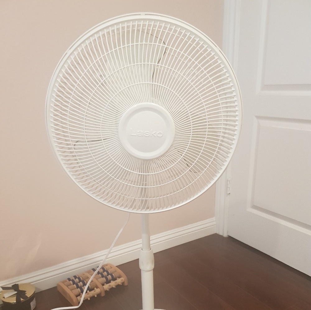Fan electric